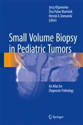 Book cover of Small Volume Biopsy in Pediatric Tumors by Jerzy Klijanienko