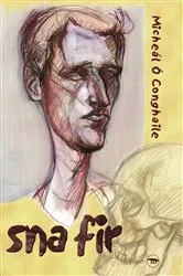 Book cover of Sna Fir by Micheál Ó Conghaile
