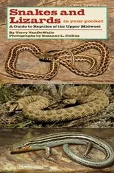 Book cover of Snakes and Lizards in Your Pocket by Terry VanDeWalle