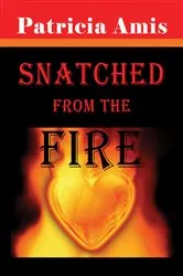Book cover of Snatched from the Fire (2nd ed.) by Patricia Amis