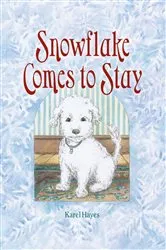 Book cover of Snowflake Comes to Stay by Karel Hayes