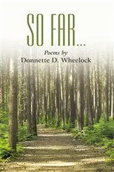 Book cover of So Far by Ben Dillow