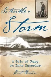 Book cover of So Terrible a Storm by Curt Brown