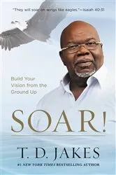 Book cover of Soar by Joan Bauer