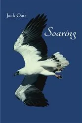 Book cover of Soaring by Unknown