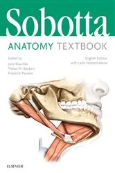 Book cover of Sobotta Anatomy Textbook by Friedrich Paulsen
