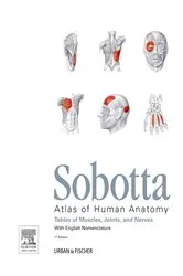 Book cover of Sobotta Tables of Muscles, Joints and Nerves, English by Friedrich Paulsen
