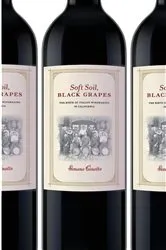 Book cover of Soft Soil, Black Grapes by Simone Cinotto