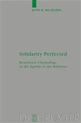 Book cover of Solidarity Perfected by Kevin McCruden