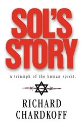 Book cover of SOL'S STORY by Richard Chardkoff