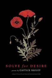 Book cover of Solve for Desire by Caitlin Bailey