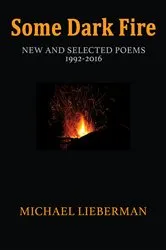 Book cover of Some Dark Fire by Michael Lieberman