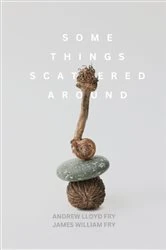 Book cover of Some Things Scattered Around by Andrew Lloyd Fry