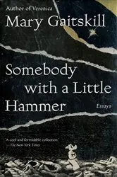 Book cover of Somebody with a Little Hammer by Unknown