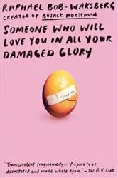 Book cover of Someone Who Will Love You in All Your Damaged Glory by Raphael Bob-Waksberg