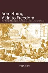 Book cover of Something Akin to Freedom by Stephanie Li