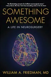 Book cover of Something Awesome by William A. Friedman