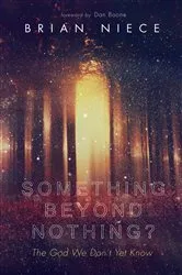 Book cover of Something Beyond Nothing? by Brian Niece