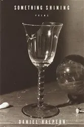 Book cover of Something Shining by Daniel Halpern