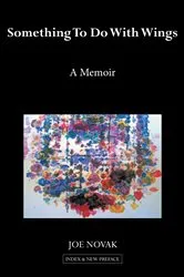 Book cover of Something to Do with Wings by Joe Novak
