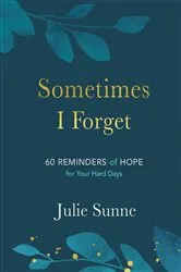 Book cover of Sometimes I Forget by Julie Sunne