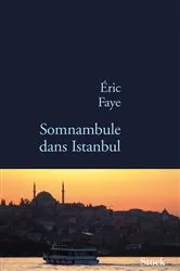 Book cover of Somnambule dans Istanbul by Unknown