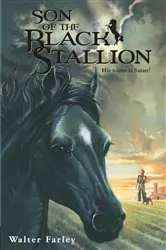 Book cover of Son of the Black Stallion by Walter Farley