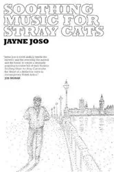 Book cover of Soothing Music for Stray Cats by Jayne Joso