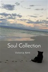 Book cover of Soul Collection by Unknown