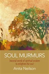 Book cover of Soul Murmurs by Anita Neilson
