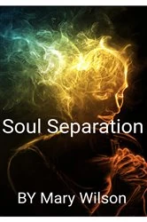 Book cover of Soul Separation by Mary Wilson