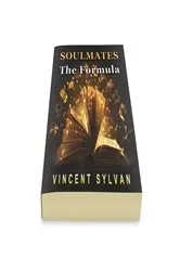Book cover of Soulmates, The Formula by Vincent Sylvan