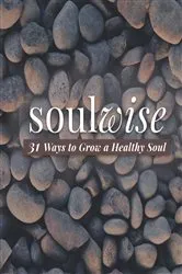 Book cover of Soulwise by Caron Chandler Loveless