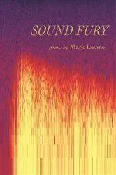 Book cover of Sound Fury by Mark Levine