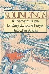 Book cover of Soundings by Hali Felt