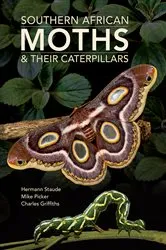 Book cover of Southern African Moths & their Caterpillars by Hermann Staude