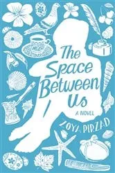 Book cover of Space Between Us by Zoya Pirzad