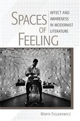 Book cover of Spaces of Feeling by Marta Figlerowicz