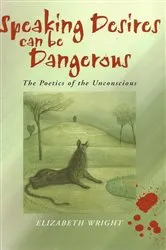 Book cover of Speaking Desires can be Dangerous by Elizabeth Wright