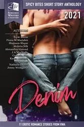 Book cover of Spicy Bites - Denim by Nicki Burns