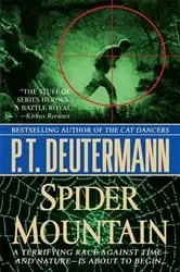 Book cover of Spider Mountain by P. T. Deutermann