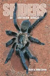 Book cover of Spiders of Southern Africa (2nd ed.) by Astri Leroy