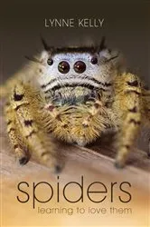 Book cover of Spiders by Lynne Kelly