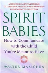 Book cover of Spirit Babies by Walter Makichen