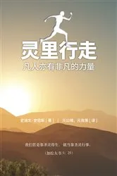 Book cover of Spirit Walk (Special Edition) [Chinese] 灵里行走 by Steve Smith