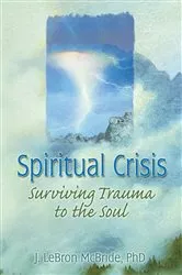 Book cover of Spiritual Crisis by Fransje de Waard