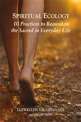 Book cover of Spiritual Ecology by Llewellyn Vaughan-Lee