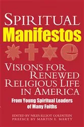 Book cover of Spiritual Manifestos by Niles Elliot Goldstein