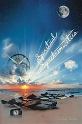 Book cover of Spiritual Synchronicities by Deborah Vecchio