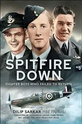 Book cover of Spitfire Down by Dilip Sarkar